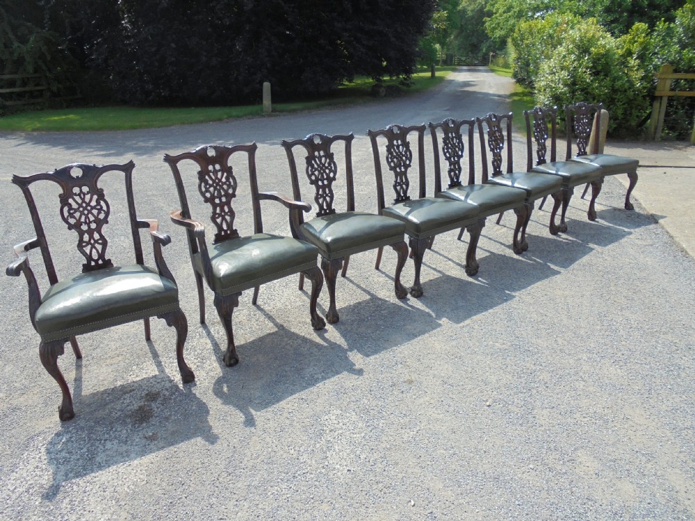 Set of eight Chippendale style ball and claw dining chairs View IV
