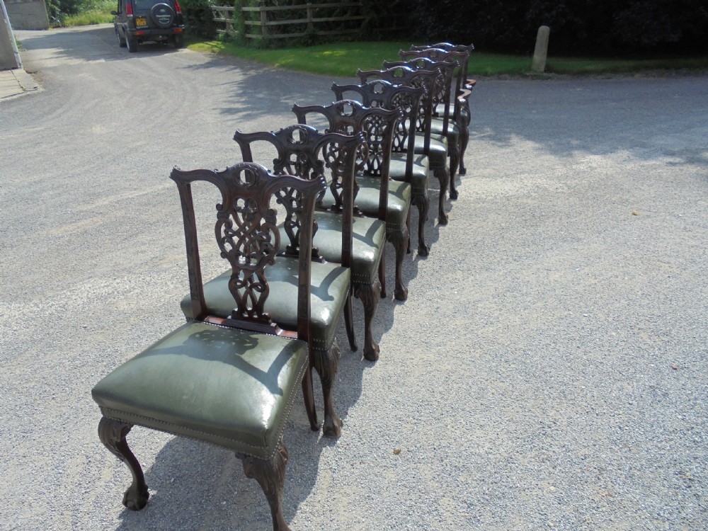 Set of eight Chippendale style ball and claw dining chairs View IX