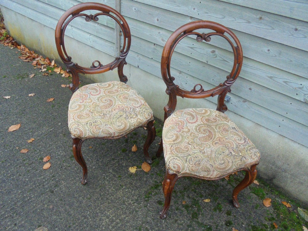 Pair of Victorian walnut balloon back dining chairs View II