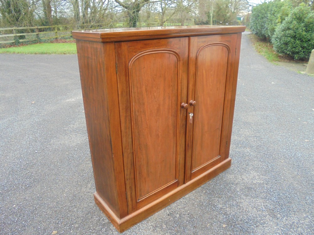 19th century mahogany two door linen cupboard View III