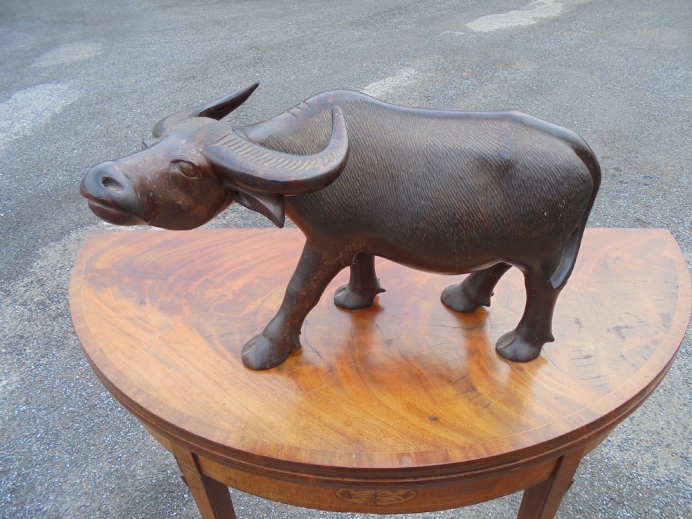 Large Oriental hardwood figure of a water buffalo