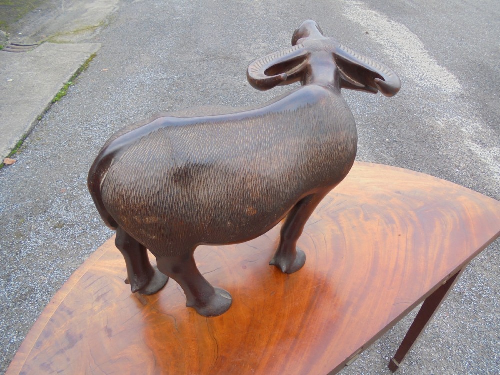 Large Oriental hardwood figure of a water buffalo View II