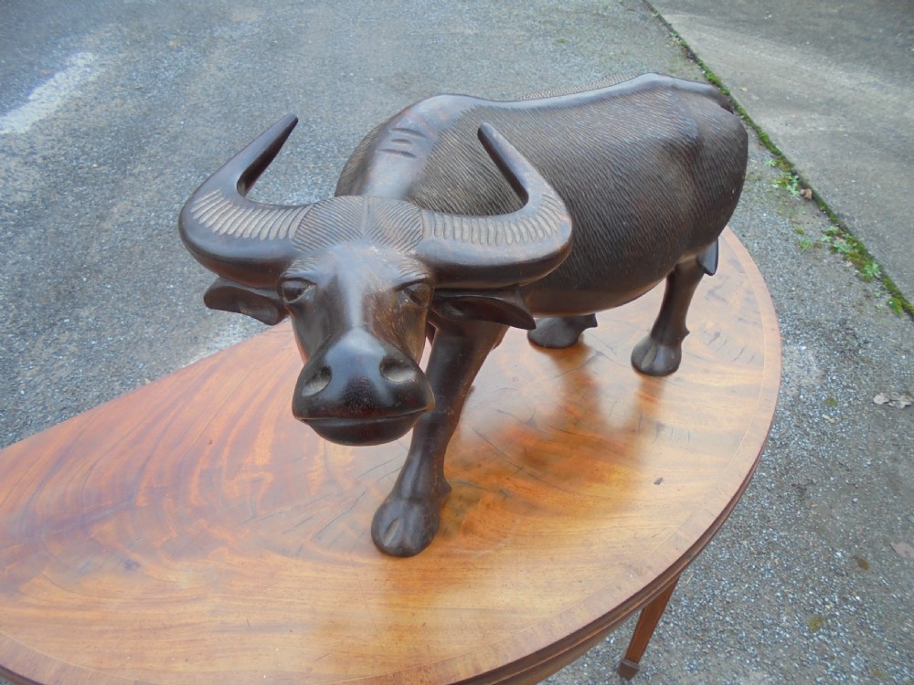 Large Oriental hardwood figure of a water buffalo View III
