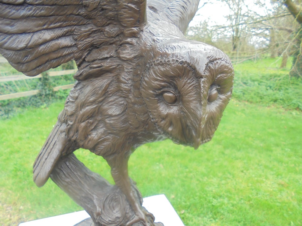 Life size bronze owl  View VI