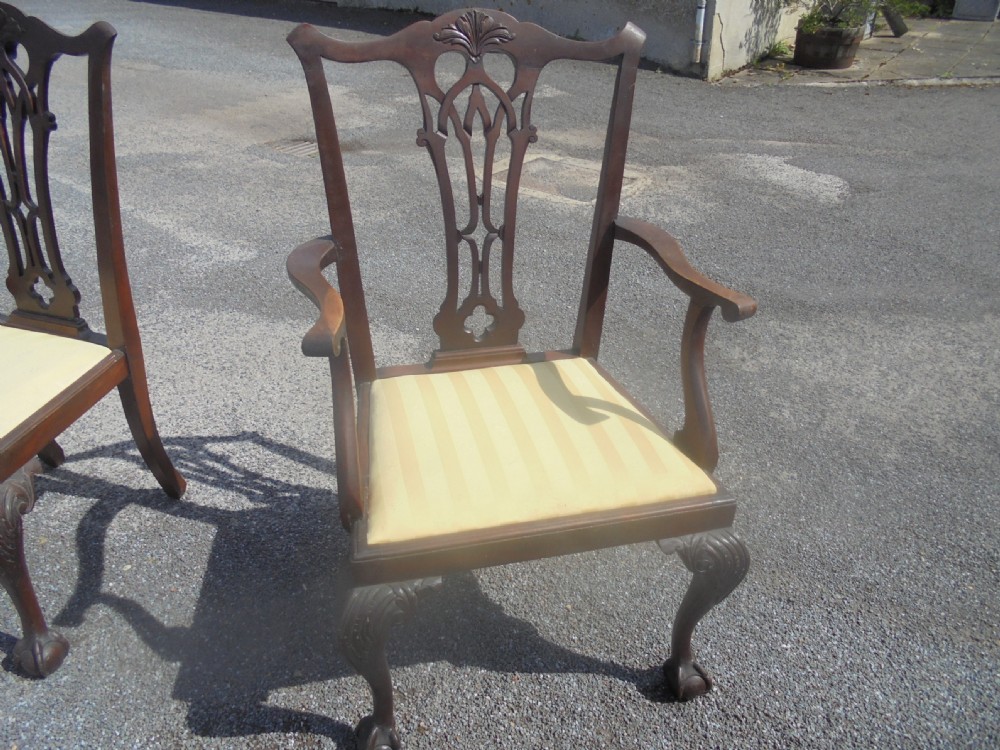 Set of eight mahogany ball and claw Chippendale style dining chairs. View VI