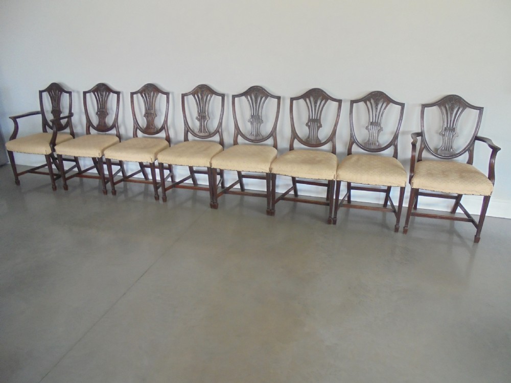 A set of eight dark mahogany dining chairs featuring carved shield backs, tapered square legs, and cream upholstered seats, including two armchairs and six side chairs.