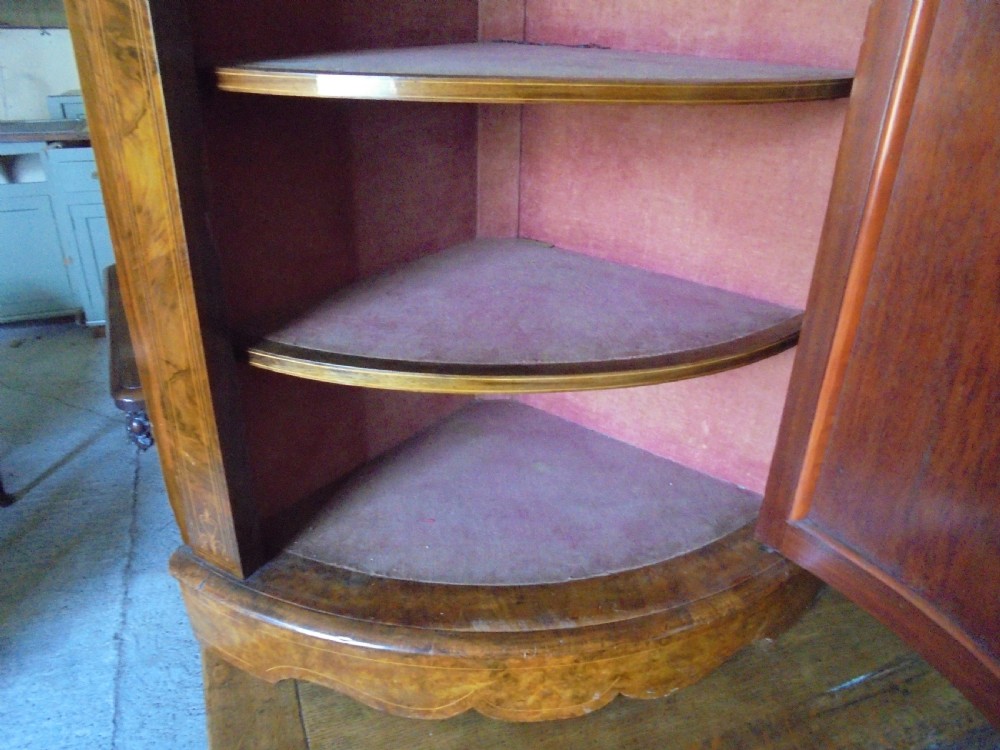 Victorian burr walnut marquetry cabinet View VI