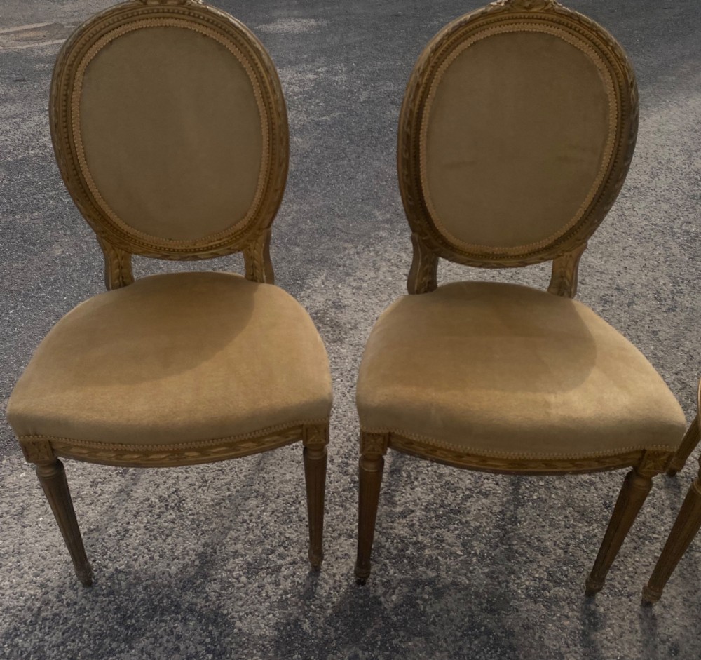 A set of four 19th-century French Louis XVI style side chairs featuring carved gilded wooden frames with oval medallion backs and beige velvet upholstery. View V