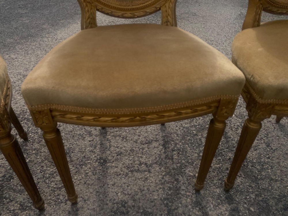 A set of four 19th-century French Louis XVI style side chairs featuring carved gilded wooden frames with oval medallion backs and beige velvet upholstery. View VI