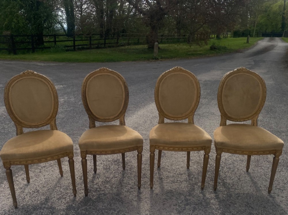 A set of four 19th-century French Louis XVI style side chairs featuring carved gilded wooden frames with oval medallion backs and beige velvet upholstery. View VII