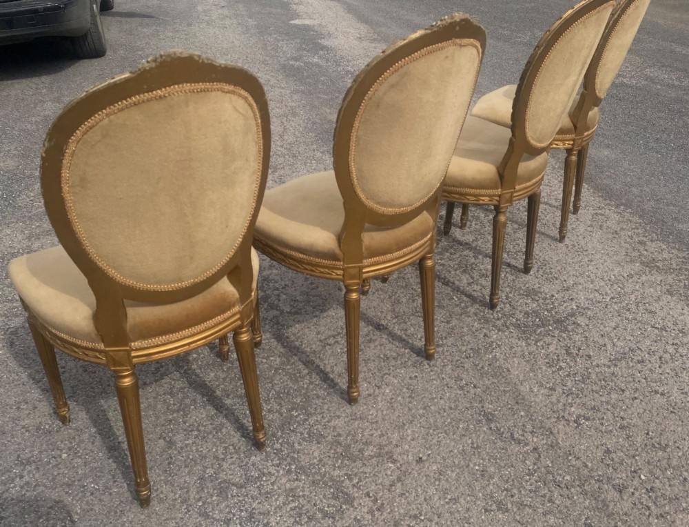 A set of four 19th-century French Louis XVI style side chairs featuring carved gilded wooden frames with oval medallion backs and beige velvet upholstery. View VIII