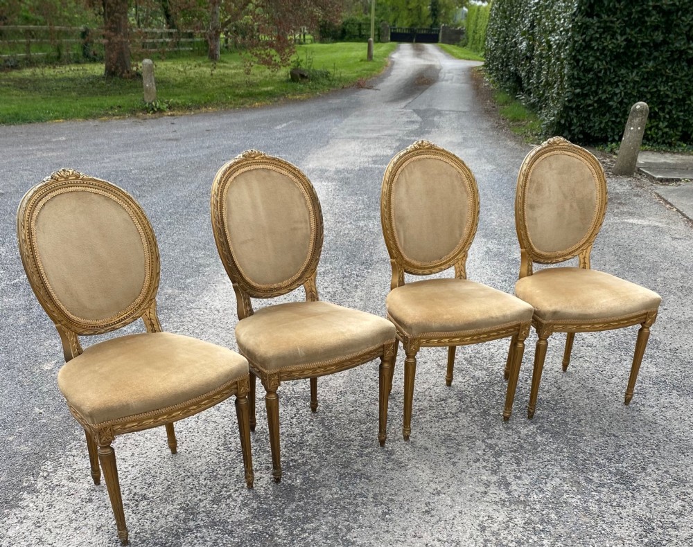 A set of four 19th-century French Louis XVI style side chairs featuring carved gilded wooden frames with oval medallion backs and beige velvet upholstery. View IX