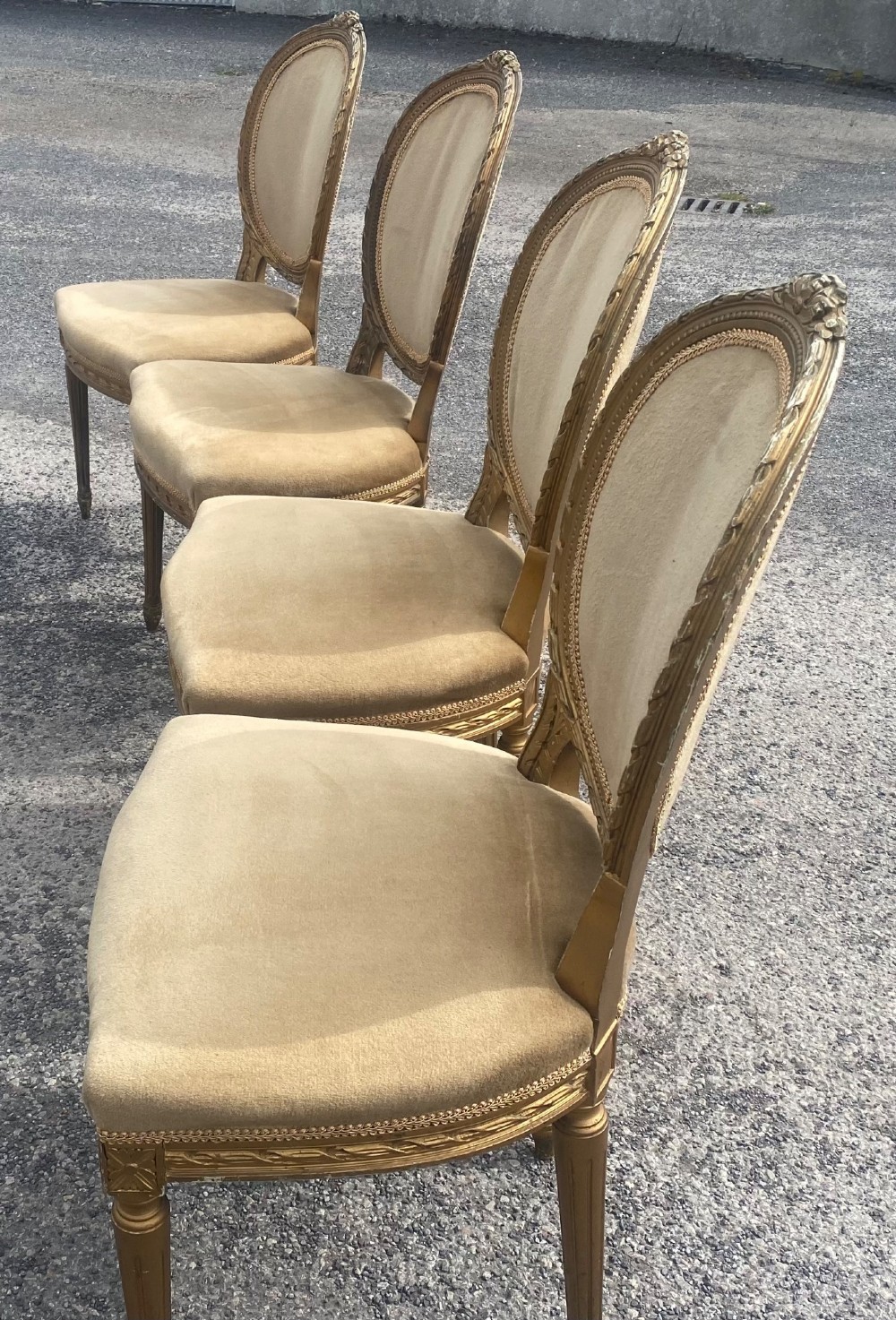 A set of four 19th-century French Louis XVI style side chairs featuring carved gilded wooden frames with oval medallion backs and beige velvet upholstery. View XI