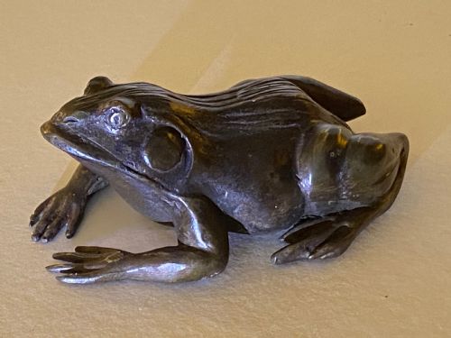 Bronze Frog