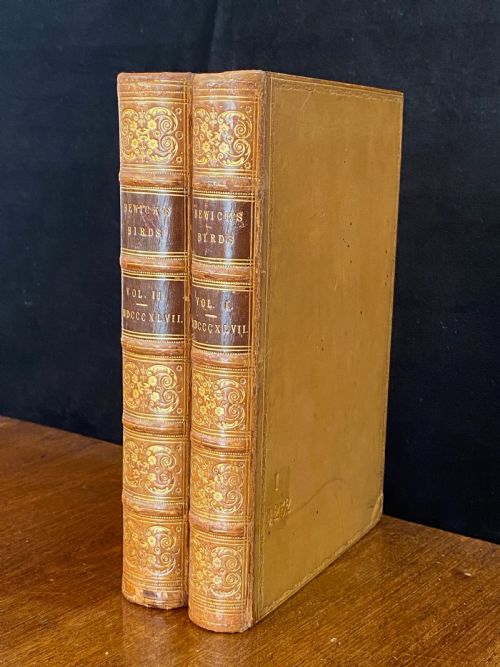 Antique Books, History of British Birds by Thomas Berwick (1753-1828)