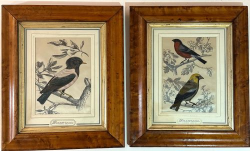 Pair of French Bird Pictures on Silk