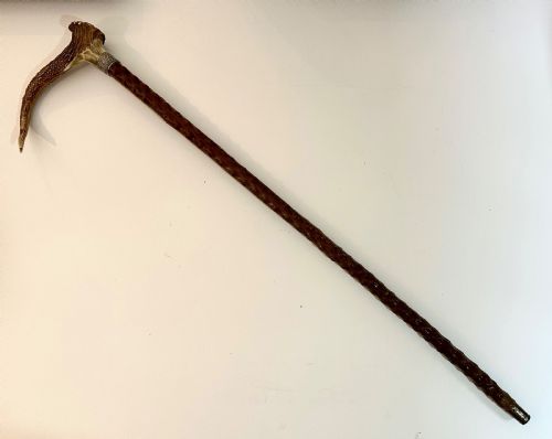 Briar Walking Stick with Stag Horn Handle