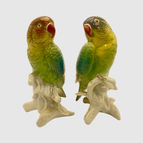 Pair of Porcelain Parrots by Karl Ens.