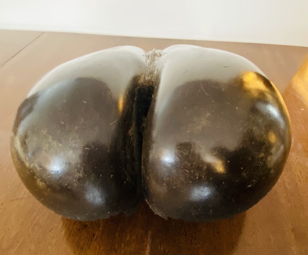 Coco de Mer. 19th Century