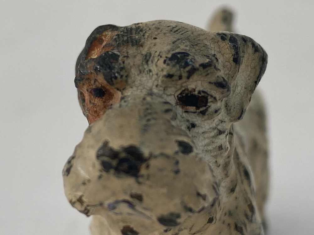 Austrian Cold Painted Bronze Dog. Late 19th century. View IV