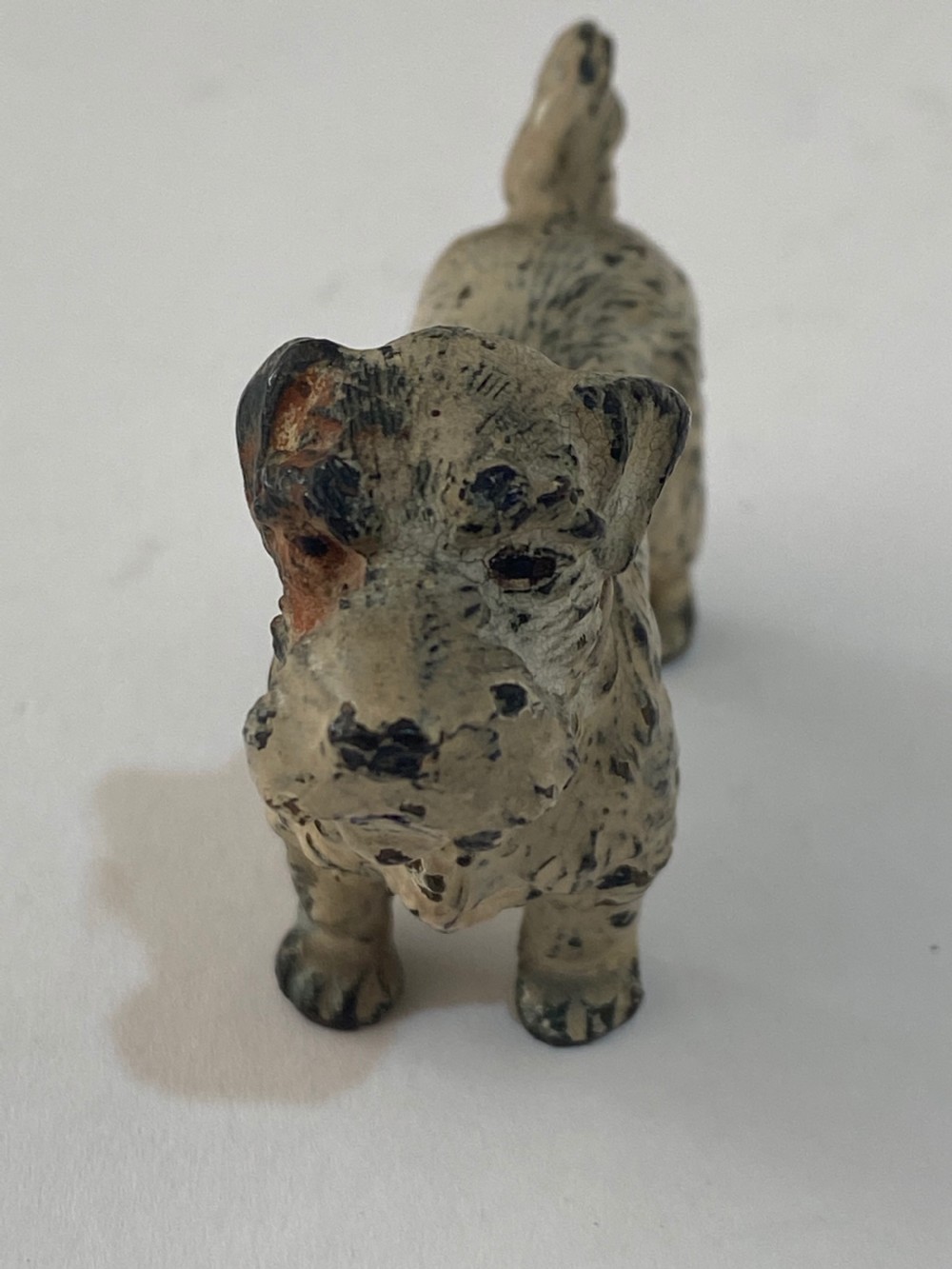 Austrian Cold Painted Bronze Dog. Late 19th century. View V