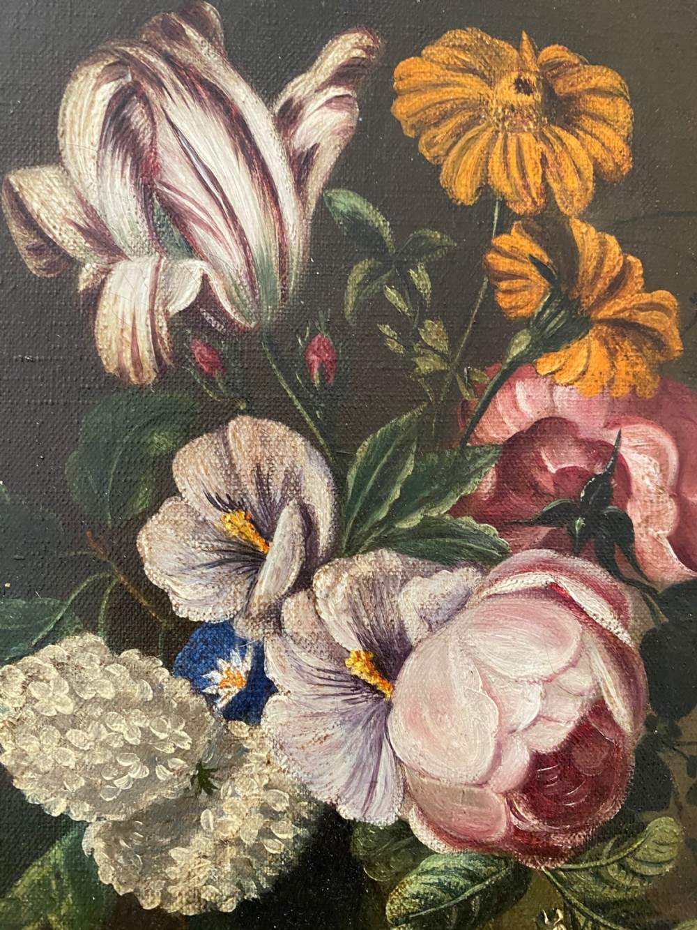 Pair of Victorian Botanical Oils on Canvas View IV