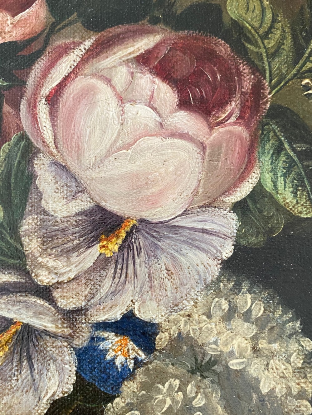 Pair of Victorian Botanical Oils on Canvas View VIII