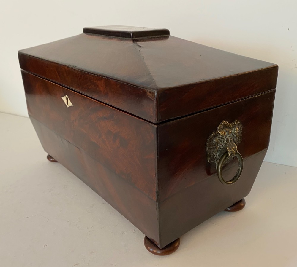 Regency Mahogany Tea Caddy View III