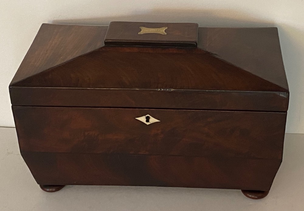 Regency Mahogany Tea Caddy View IV