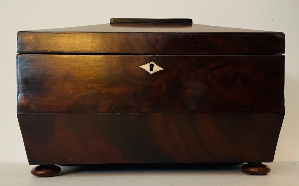 Regency Mahogany Tea Caddy View V