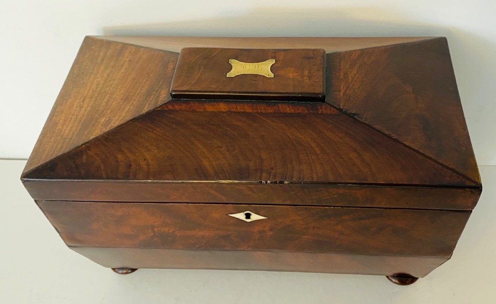 Regency Mahogany Tea Caddy View VI