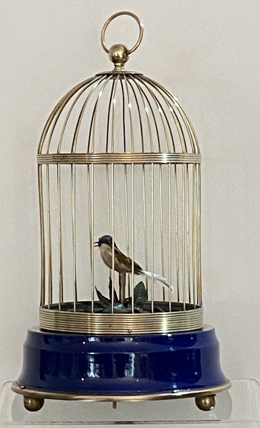 Singing Bird in Cage.
