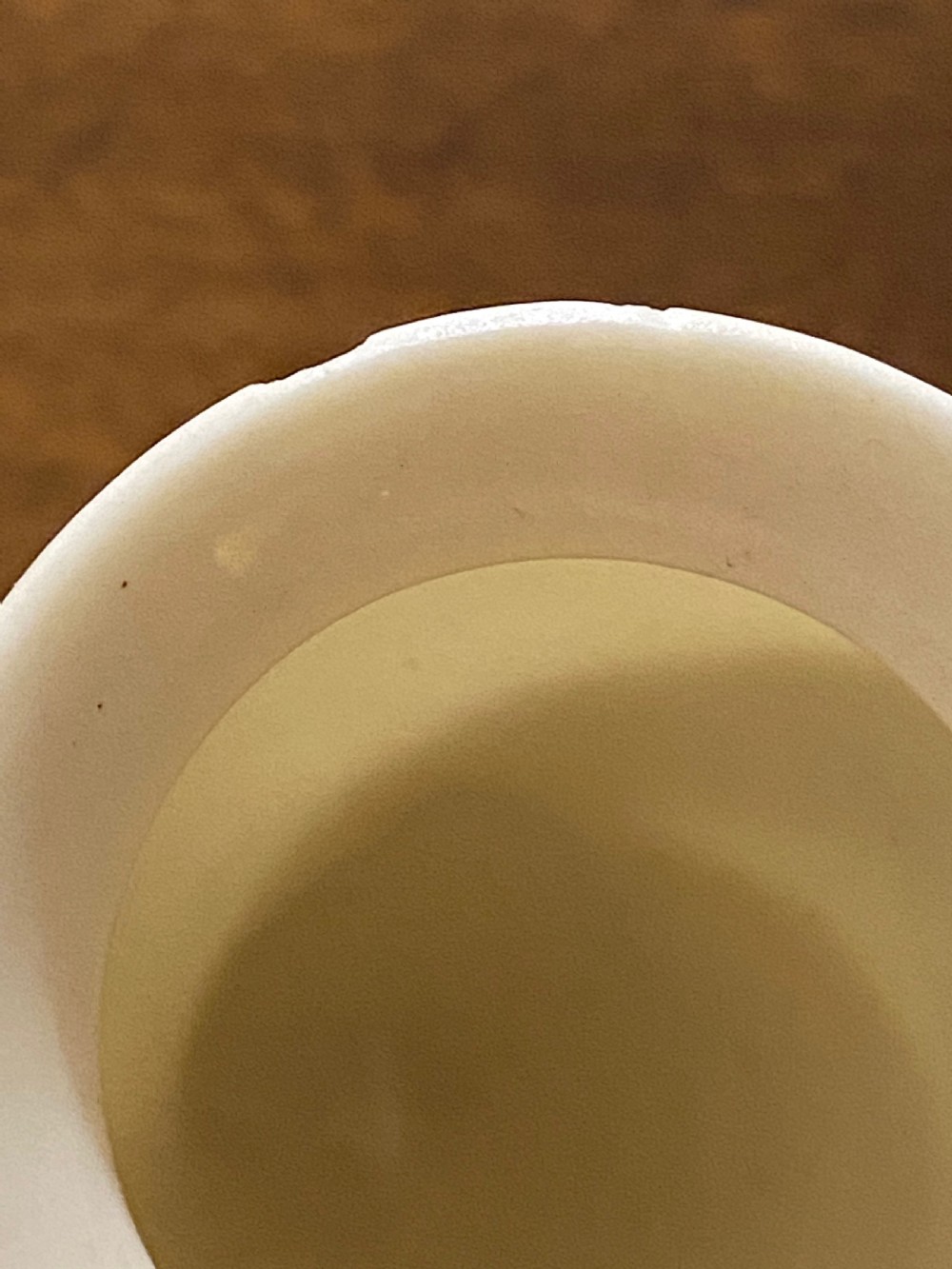 Royal Worcester Bisque Hand Vases View V