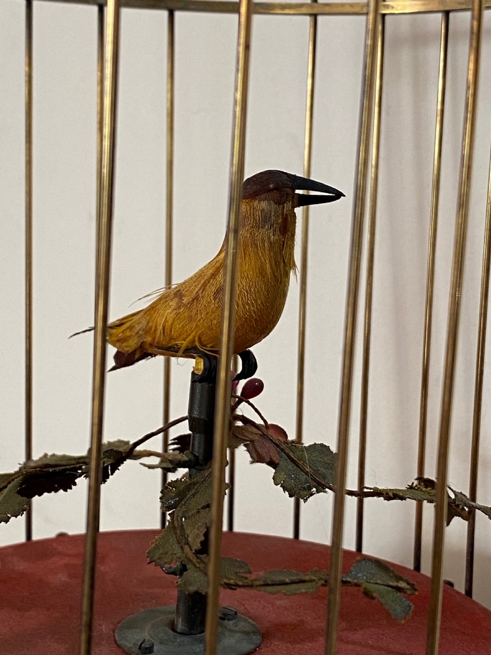 Singing Bird in Brass Cage View III