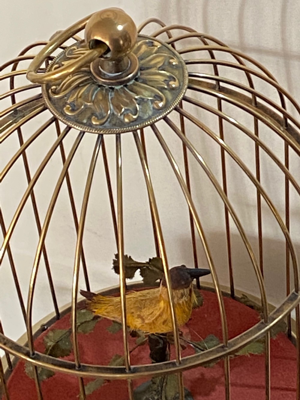 Singing Bird in Brass Cage View IV