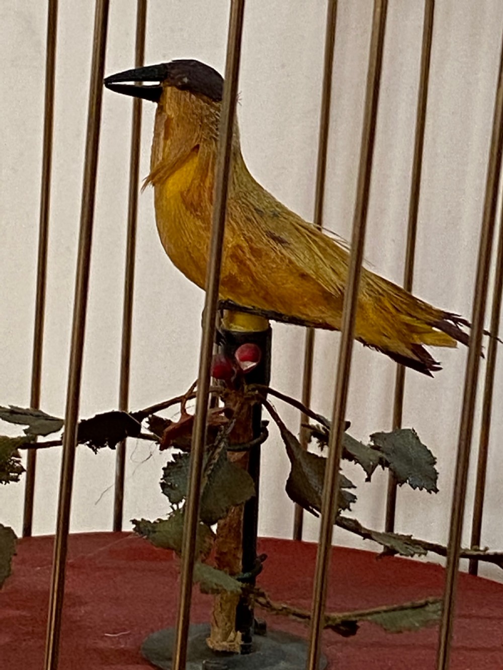 Singing Bird in Brass Cage View V