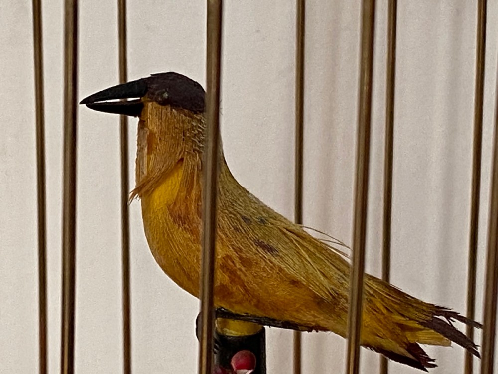 Singing Bird in Brass Cage View VII