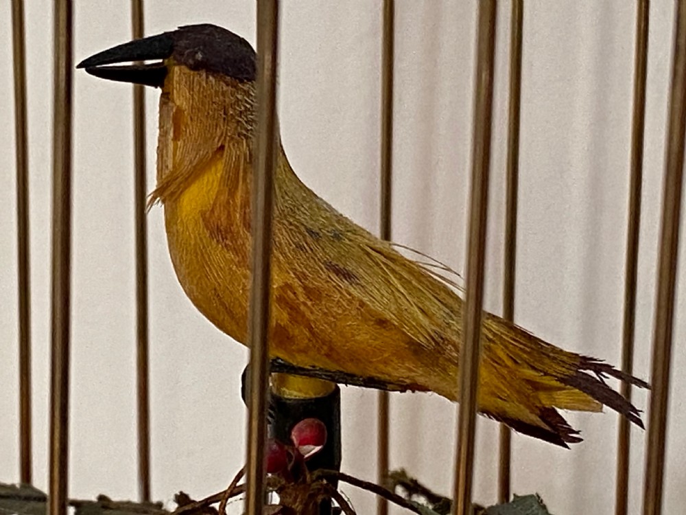 Singing Bird in Brass Cage View VIII