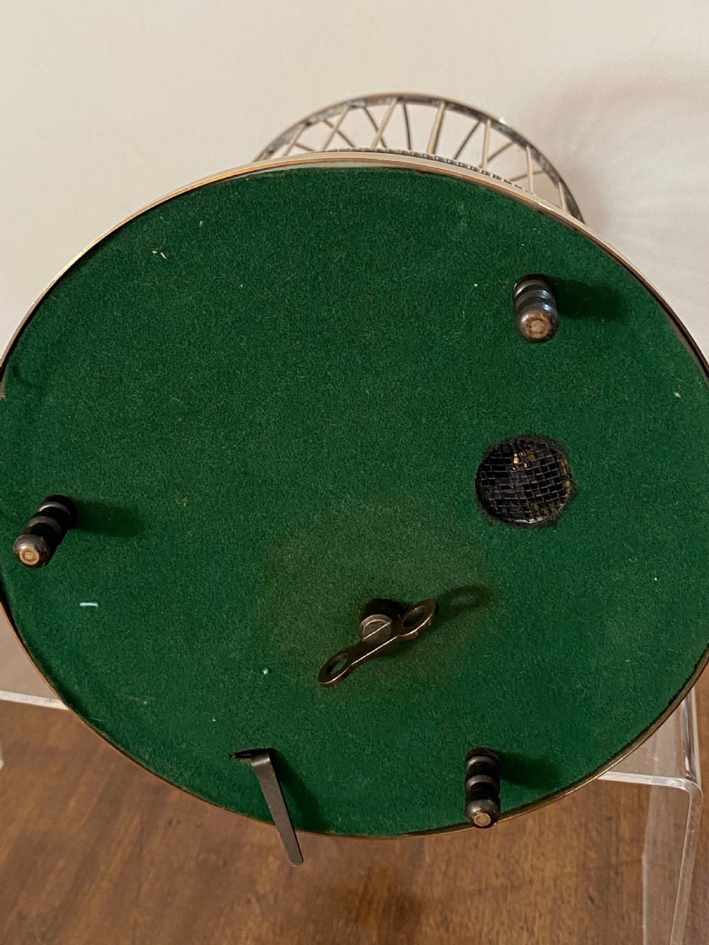 Singing Bird in Brass Cage View IX