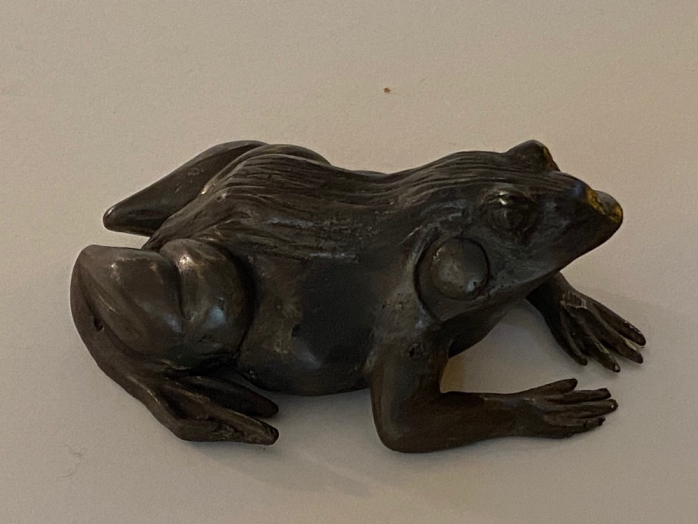 Bronze Frog  View IV
