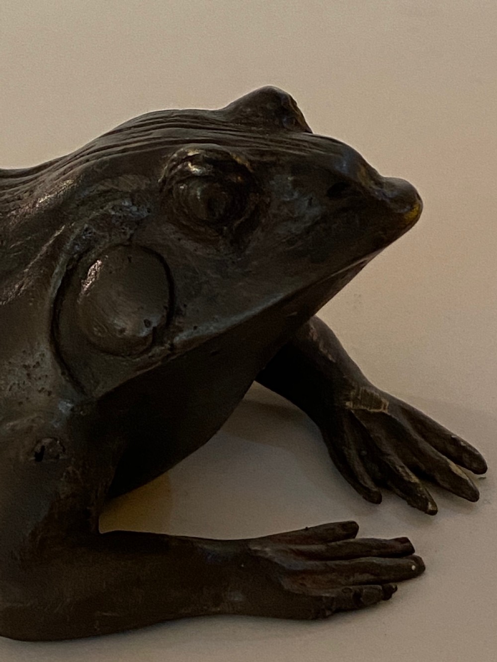 Bronze Frog  View V