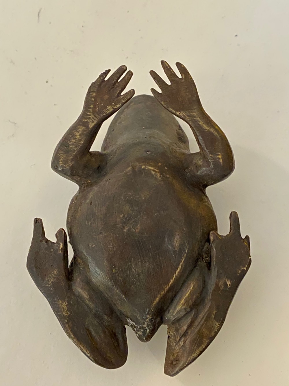 Bronze Frog  View VI