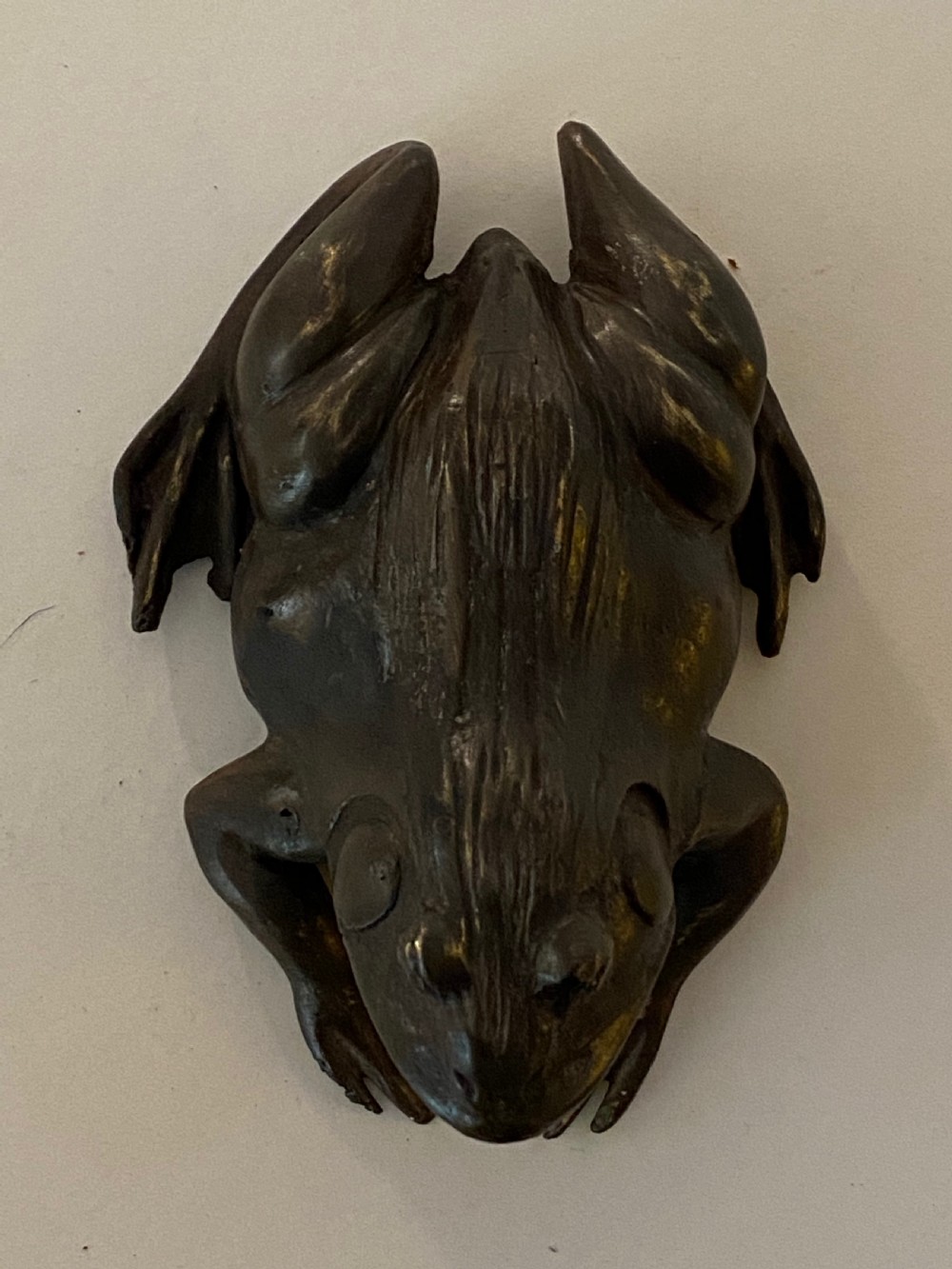 Bronze Frog  View VII