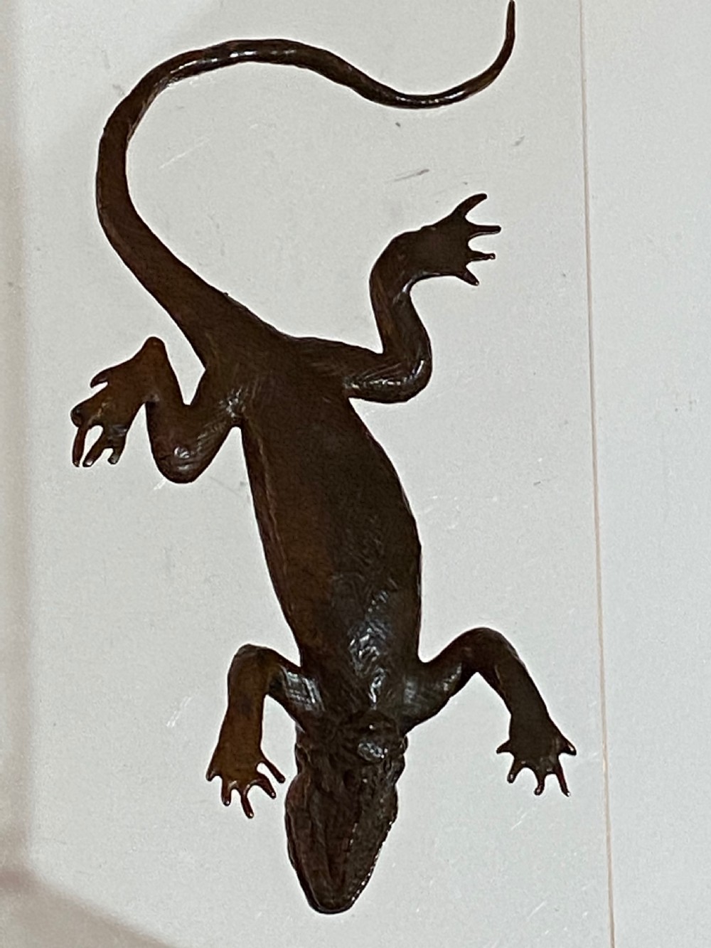 Japanese Bronze Model of a Lizard View IV
