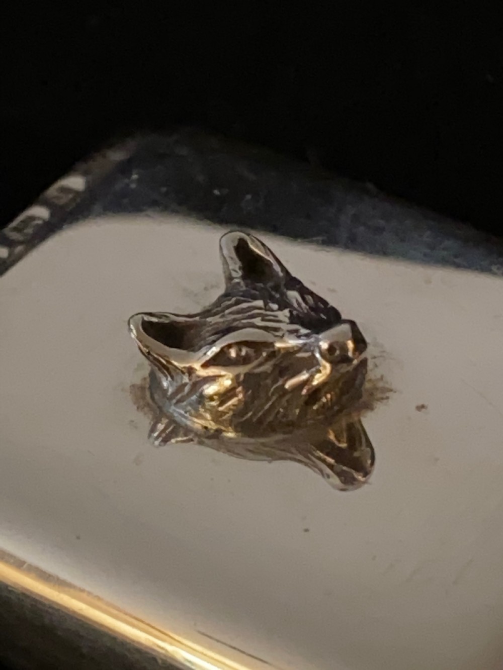 Silver Vesta Case with Fox Mask View IV