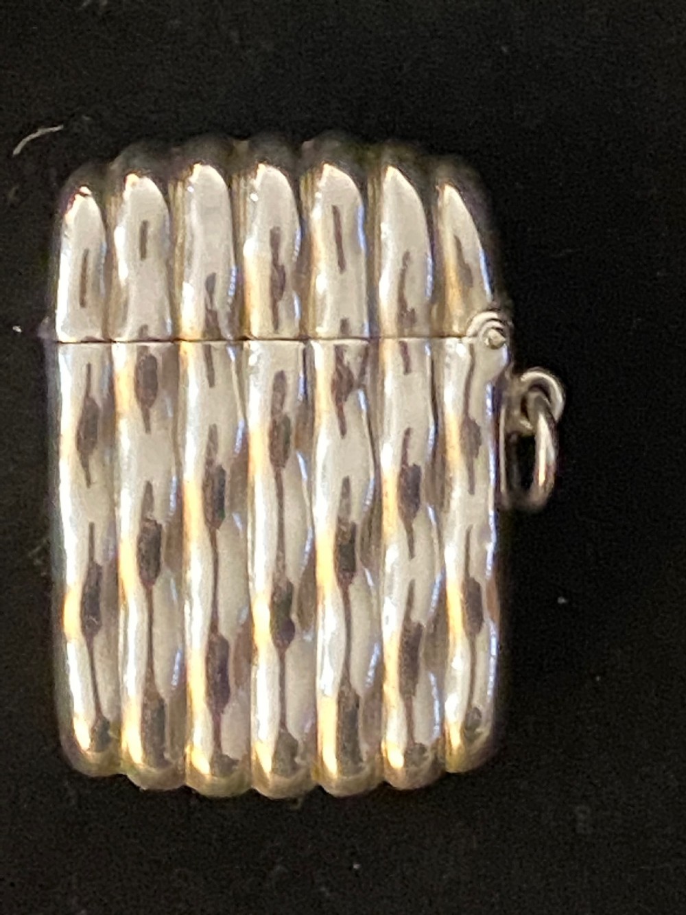 Silver Vesta Case View II