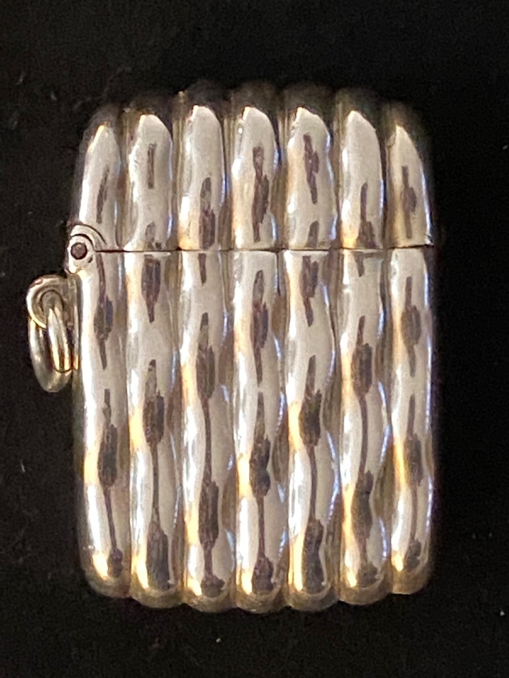 Silver Vesta Case