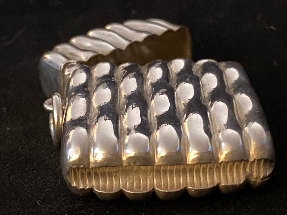 Silver Vesta Case View V