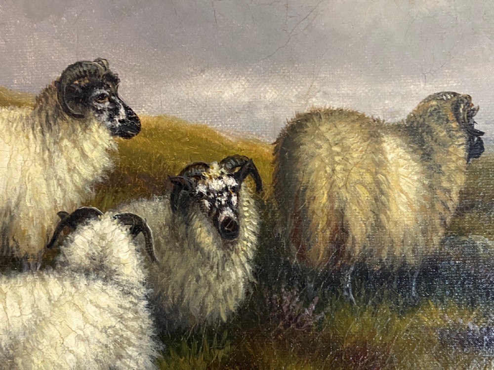 19th Century Oil on Canvas of Grazing Sheep. View II