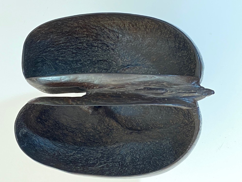 Coco de Mer Palm Nut View III